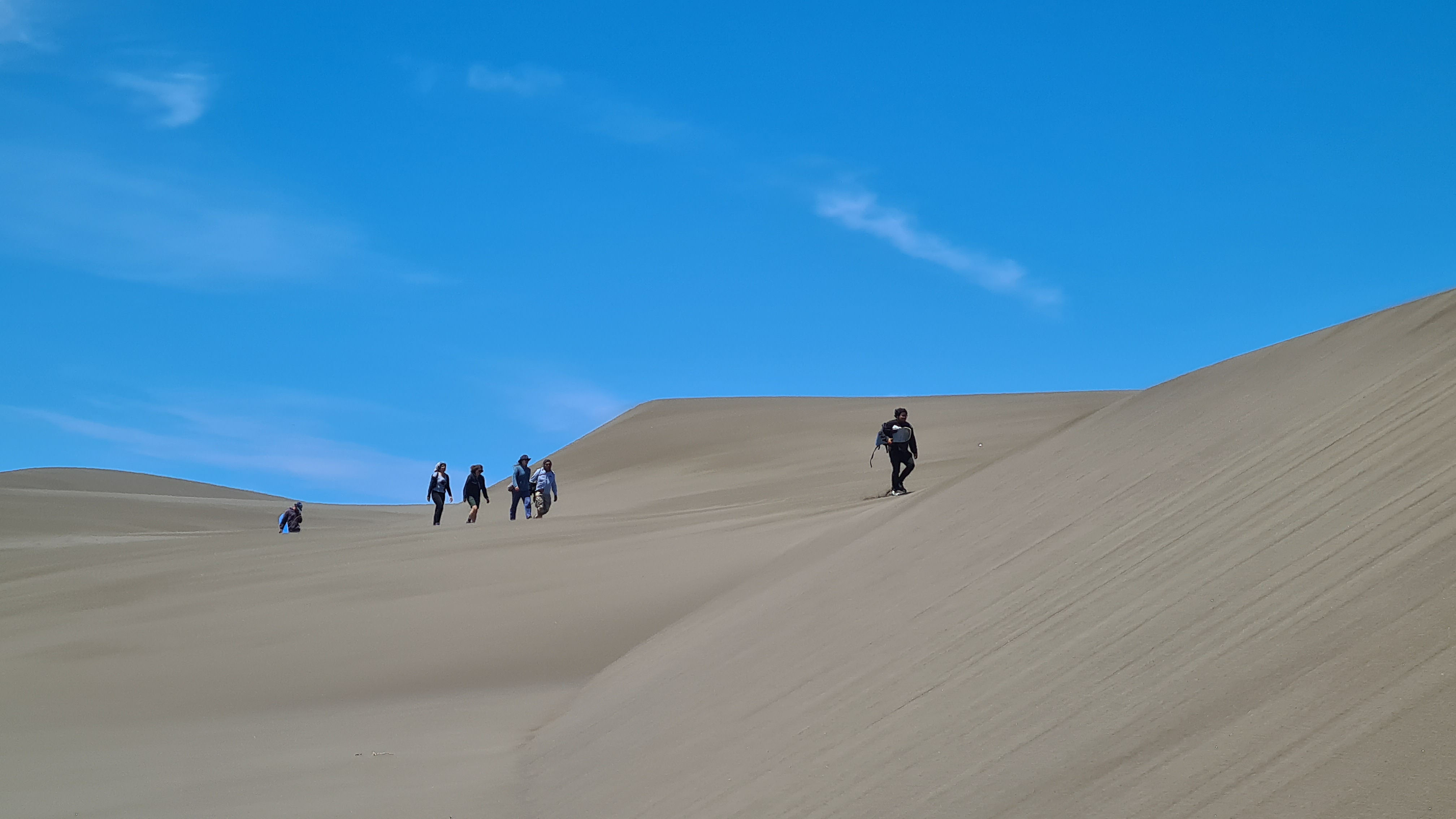 Experiencia de sandbord en dunas de Pangue junto a Wenumapu Aventura, Los Álamos.