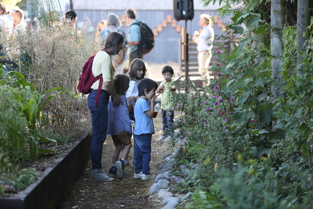 Niños recolectan frutos de la Huerta Agroecológica El Boldo.