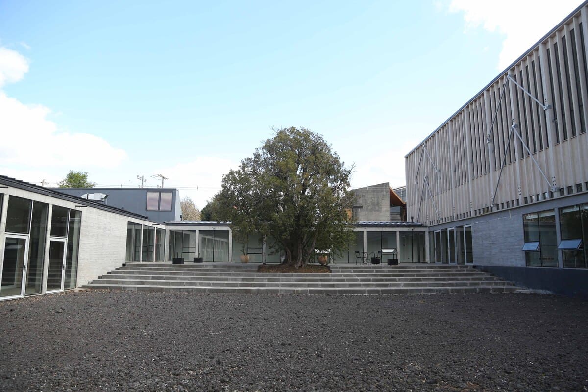 Terraza del CIDS, Michel Durand Q. con boldo en medio del espacio.