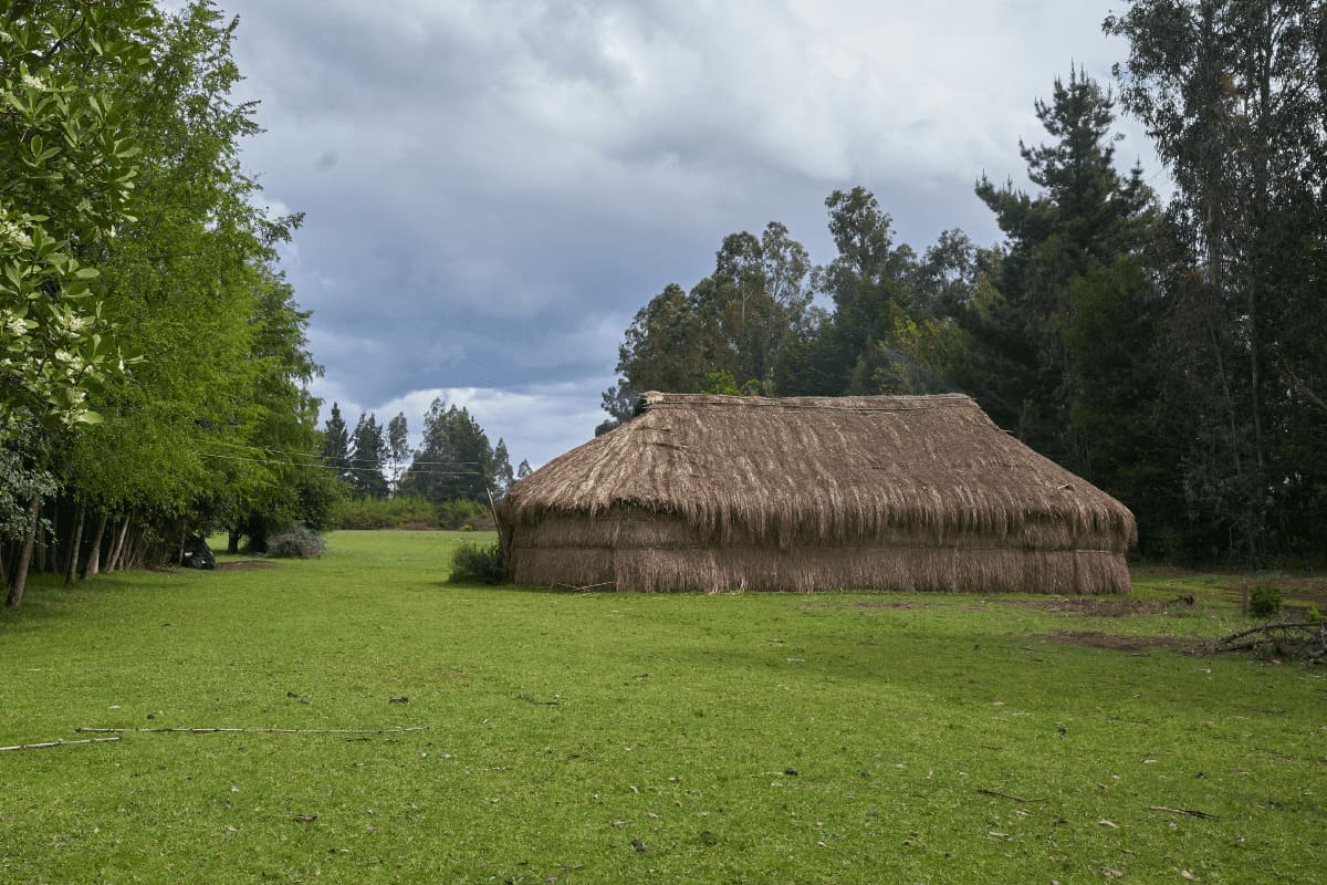 Ruka en medio de un área verde.