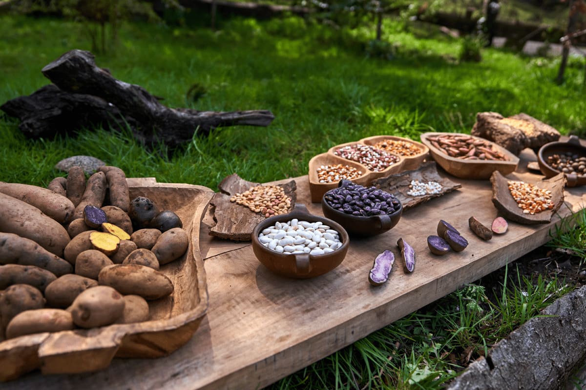 Presentación de semillas de distintas especies en cuencos de madera, sobre un bancal de madera nativa.